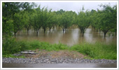 Opet poplave u Oriovcu