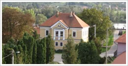 Slavonski Kobaš