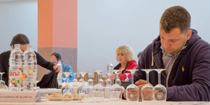Frankovka Slavka Drčelića iz Vranovaca – šampion Oriovite 2016.