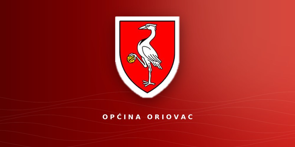 Konačni rezultati lokalnih izbora 2025